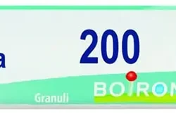 APIS MELLIFICA 200 K GLOBULI 1G