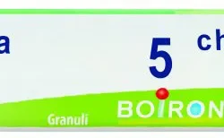 FORMICA RUFA 5 CH GRANULI 4G