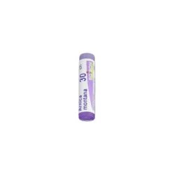 ARNICA MONTANA 30CH DILUIZIONE HAHNEMANNIANA CENTESIMALE INGLOBULI 1G